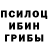 Псилоцибиновые грибы Psilocybe maksim 2004