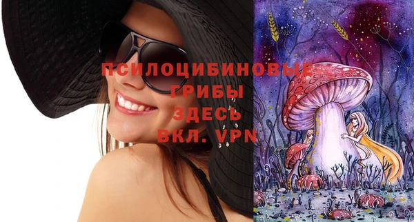 СК Карпинск