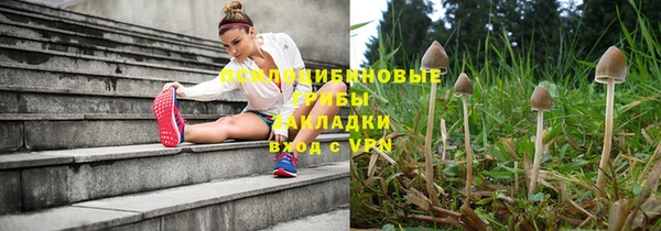 СК Карпинск