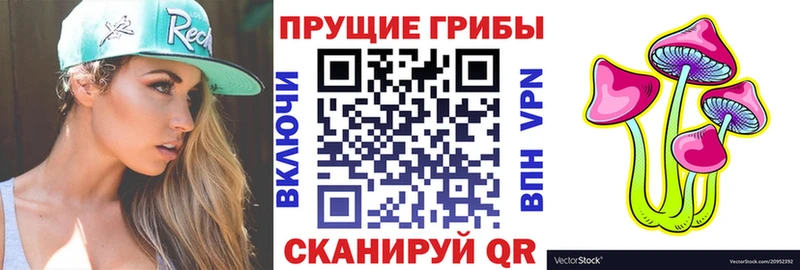 Галлюциногенные грибы мицелий  Купить закладки  Гулькевичи 
